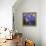 Starry Night 1-Howie Green-Framed Premier Image Canvas displayed on a wall