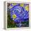 Starry Night 1-Howie Green-Framed Premier Image Canvas