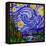 Starry Night 1-Howie Green-Framed Premier Image Canvas