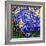 Starry Night 1-Howie Green-Framed Giclee Print