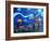 Starry Night in St Petersburg Russia-Martina Bleichner-Framed Art Print