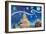 Starry Night in Thailand Van Gogh Inspirations i-Martina Bleichner-Framed Art Print