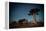 Starry Sky and Baobab Trees Highlighted by Moon. Madagascar-Dudarev Mikhail-Framed Premier Image Canvas