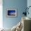 Starry Sky And Stargazer-David Nunuk-Framed Photographic Print displayed on a wall