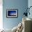 Starry Sky And Stargazer-David Nunuk-Framed Photographic Print displayed on a wall