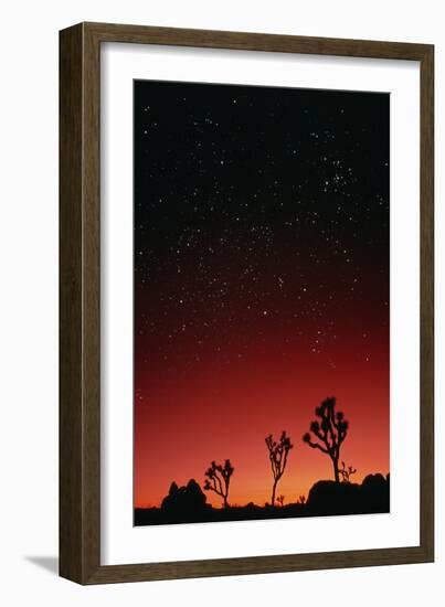 Starry Sky And Sunset Taken In Joshua Tree Park-David Nunuk-Framed Photographic Print