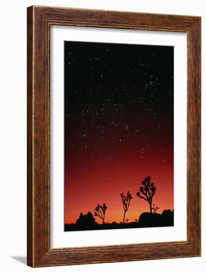 Starry Sky And Sunset Taken In Joshua Tree Park-David Nunuk-Framed Photographic Print