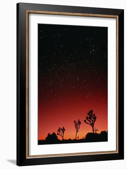 Starry Sky And Sunset Taken In Joshua Tree Park-David Nunuk-Framed Photographic Print
