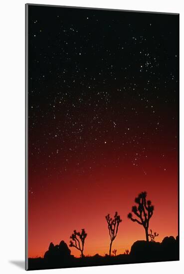 Starry Sky And Sunset Taken In Joshua Tree Park-David Nunuk-Mounted Photographic Print