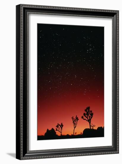 Starry Sky And Sunset Taken In Joshua Tree Park-David Nunuk-Framed Photographic Print