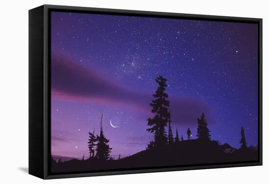 Starry Sky-David Nunuk-Framed Premier Image Canvas