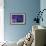 Starry Sky-David Nunuk-Framed Photographic Print displayed on a wall