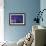 Starry Sky-David Nunuk-Framed Photographic Print displayed on a wall