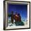 "Starry Starry Night,"December 1, 1950-Douglas Crockwell-Framed Giclee Print