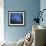 Starry, Starry Night-Orah Moore-Framed Art Print displayed on a wall