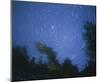 Starry, Starry Night-Orah Moore-Mounted Art Print