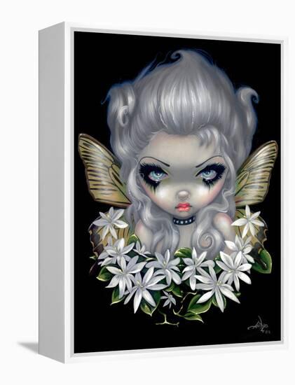 Starry Wild Jasmine Fairy-Jasmine Becket-Griffith-Framed Stretched Canvas