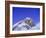 Stars Above Mount Everest, 8850M, Solu Khumbu Everest Region, Sagarmatha National Park, Himalayas-Christian Kober-Framed Photographic Print