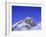 Stars Above Mount Everest, 8850M, Solu Khumbu Everest Region, Sagarmatha National Park, Himalayas-Christian Kober-Framed Photographic Print