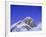 Stars Above Mount Everest, 8850M, Solu Khumbu Everest Region, Sagarmatha National Park, Himalayas-Christian Kober-Framed Photographic Print