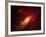 Stars and a Galaxy-Terry Why-Framed Premium Photographic Print