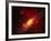 Stars and a Galaxy-Terry Why-Framed Premium Photographic Print