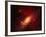 Stars and a Galaxy-Terry Why-Framed Premium Photographic Print