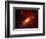 Stars and a Galaxy-Terry Why-Framed Photographic Print