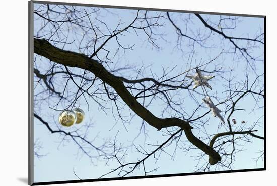 Stars and Baubles Hanging on a Tree, Elbberg, Hanseatic City of Hamburg, Germany-Axel Schmies-Mounted Photographic Print
