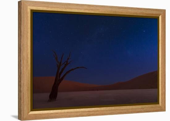 Stars and Dunes-Ali Khataw-Framed Premier Image Canvas