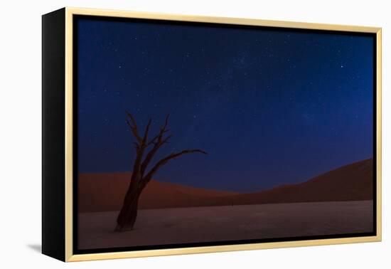 Stars and Dunes-Ali Khataw-Framed Premier Image Canvas