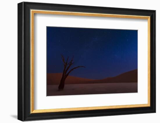 Stars and Dunes-Ali Khataw-Framed Photographic Print