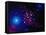 Stars and Nebula-Terry Why-Framed Premier Image Canvas