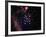 Stars and Nebula-Terry Why-Framed Premium Photographic Print