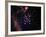 Stars and Nebula-Terry Why-Framed Premium Photographic Print