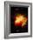 Stars and Nebula-Terry Why-Framed Photographic Print