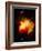 Stars and Nebula-Terry Why-Framed Photographic Print