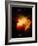 Stars and Nebula-Terry Why-Framed Photographic Print