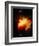 Stars and Nebula-Terry Why-Framed Photographic Print