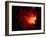 Stars and Nebula-Terry Why-Framed Photographic Print