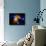 Stars and Nebula-Terry Why-Premium Photographic Print displayed on a wall