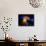 Stars and Nebula-Terry Why-Premium Photographic Print displayed on a wall