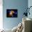 Stars and Nebula-Terry Why-Mounted Photographic Print displayed on a wall