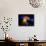 Stars and Nebula-Terry Why-Mounted Photographic Print displayed on a wall