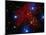 Stars and Nebula-Terry Why-Mounted Photographic Print