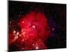 Stars and Nebula-Terry Why-Mounted Photographic Print