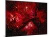 Stars and Nebula-Terry Why-Mounted Photographic Print