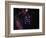 Stars and Nebula-Terry Why-Framed Photographic Print