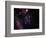 Stars and Nebula-Terry Why-Framed Photographic Print