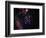 Stars and Nebula-Terry Why-Framed Photographic Print